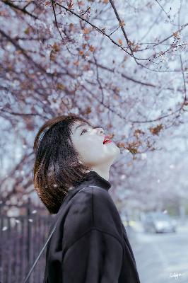 高清免费观看！大地2资源在线播放？1080P资源你值得拥有！